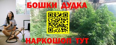 молекула духа Бийск