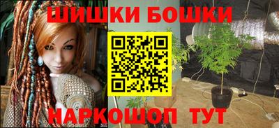 молекула духа Бийск
