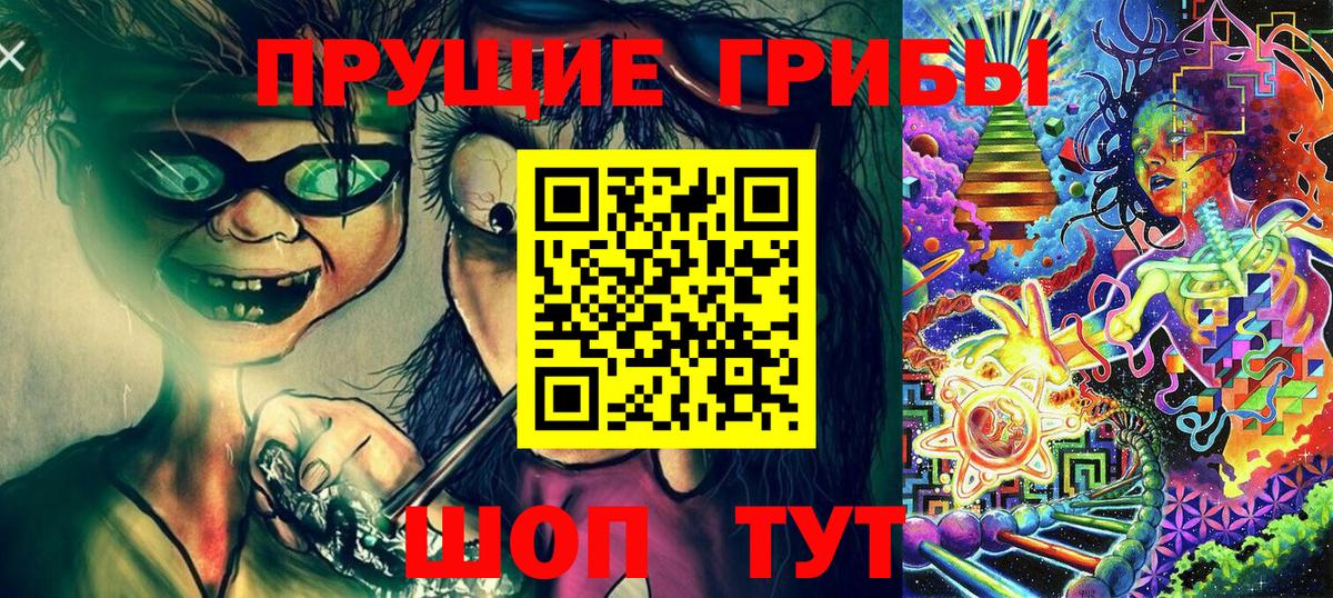 Кимры  Галлюциногенные грибы GOLDEN TEACHER  Вход с VPN 
